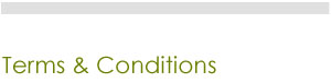 TERMS AND CONDITIONS OF DELIVERY