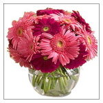 FLOWER ARRANGEMENTS IN GLASS