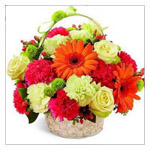 FLOWERS AND GIFTS FOR JUST BECAUSE